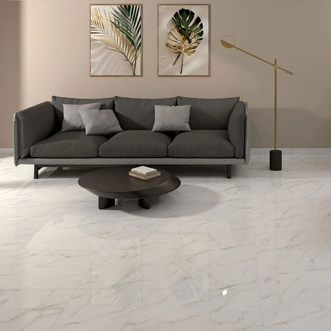 Calacatta Lucca Polished, 24" x 48" - Porcelain Tile