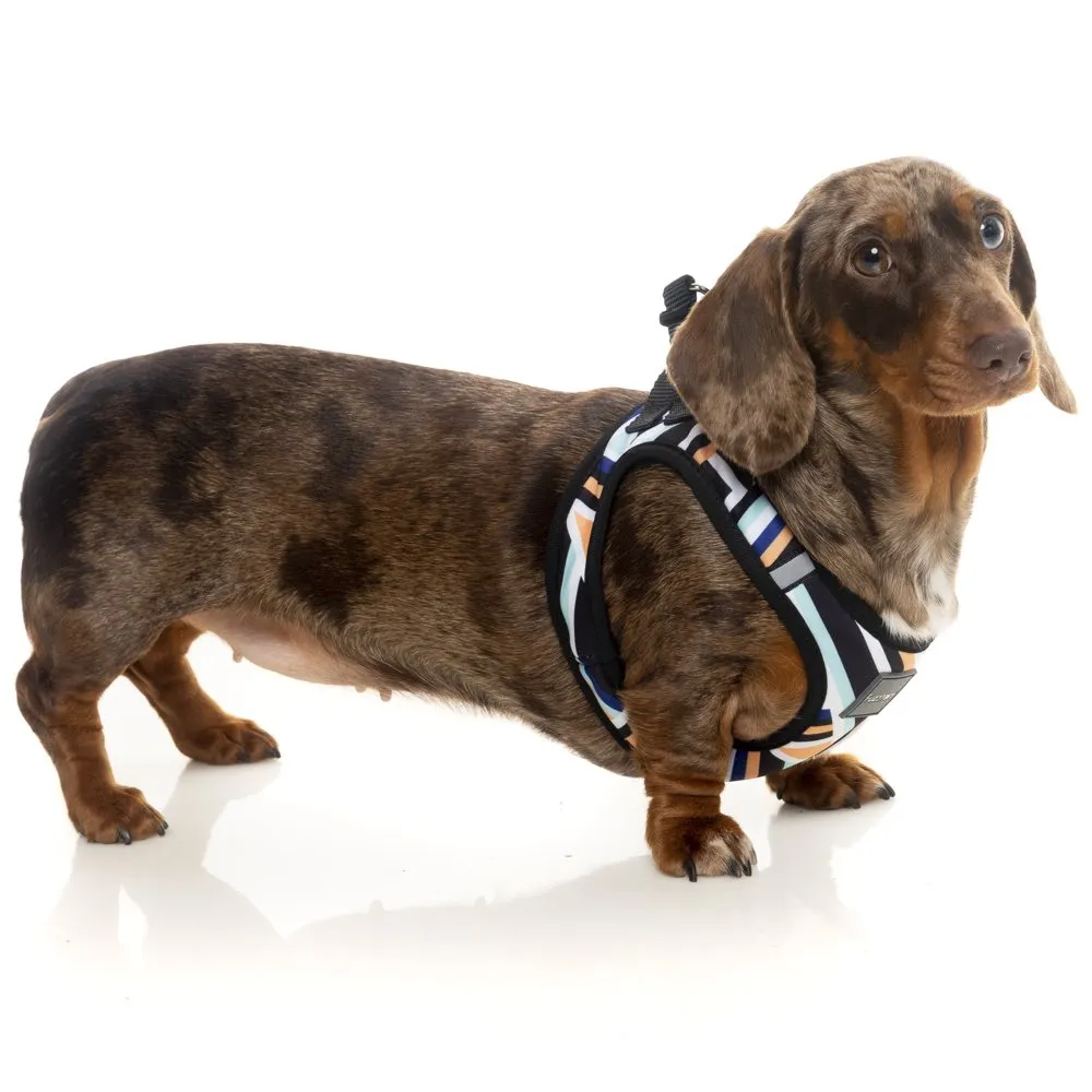 FuzzYard Step-in Dog Harness (Sonic)