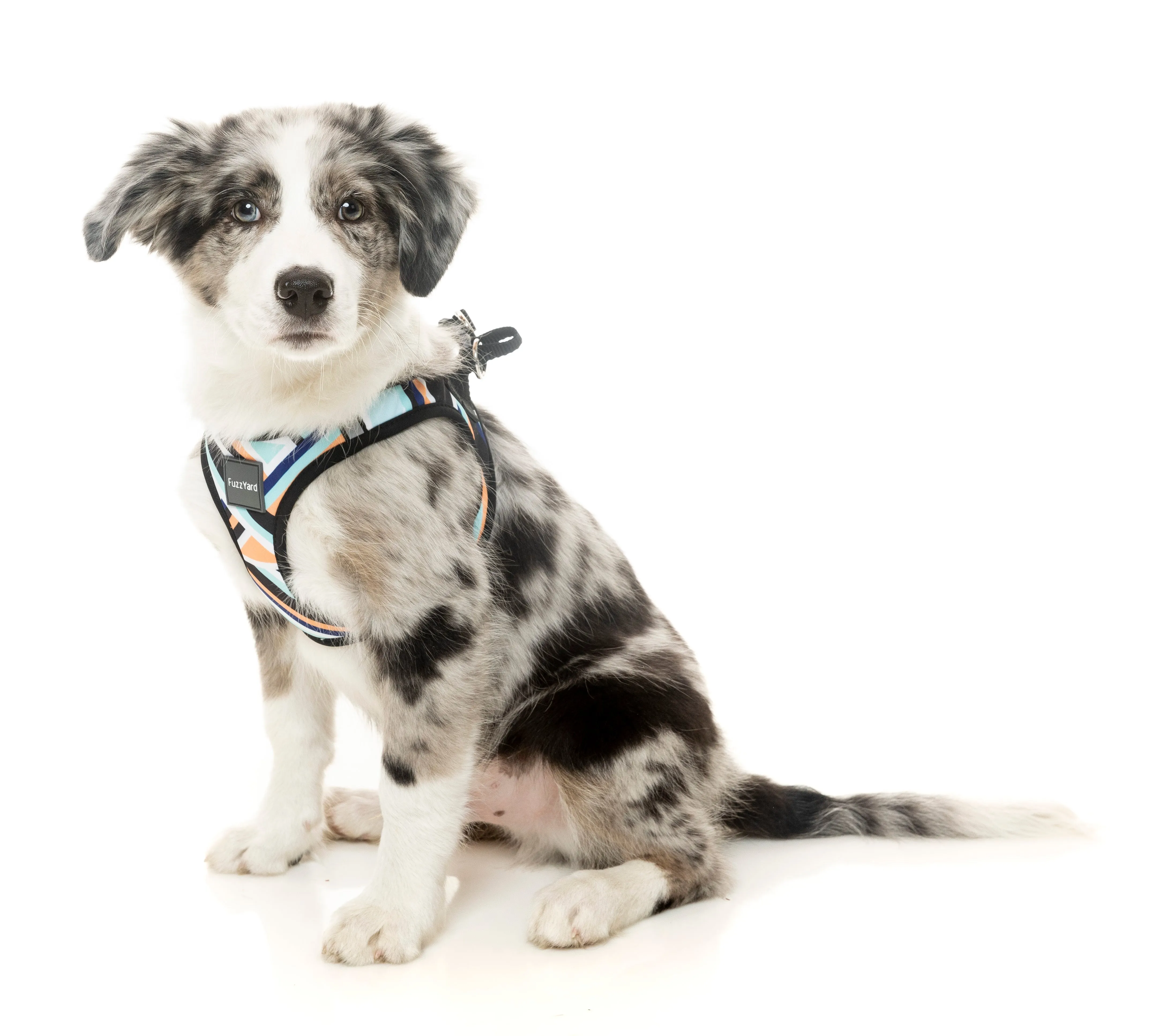 FuzzYard Step-in Dog Harness (Sonic)