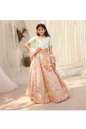 Peach Embroidered Georgette Lehenga Choli with Dupatta Set