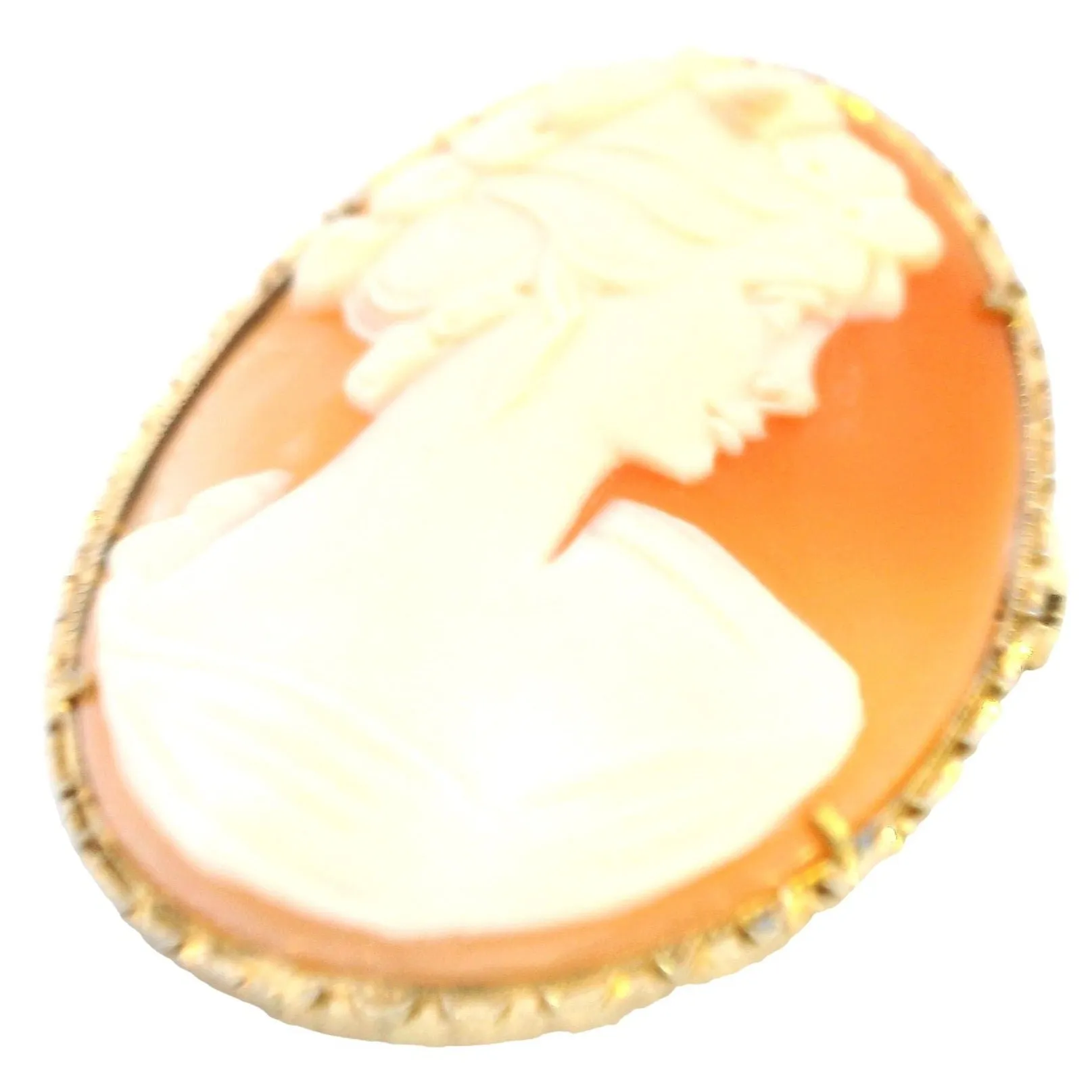 Timeless Elegance: Vintage Silver Cameo Brooch - A Piece of History